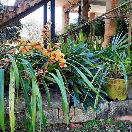Pousada Canto Das Corujas São Roque Extérieur photo