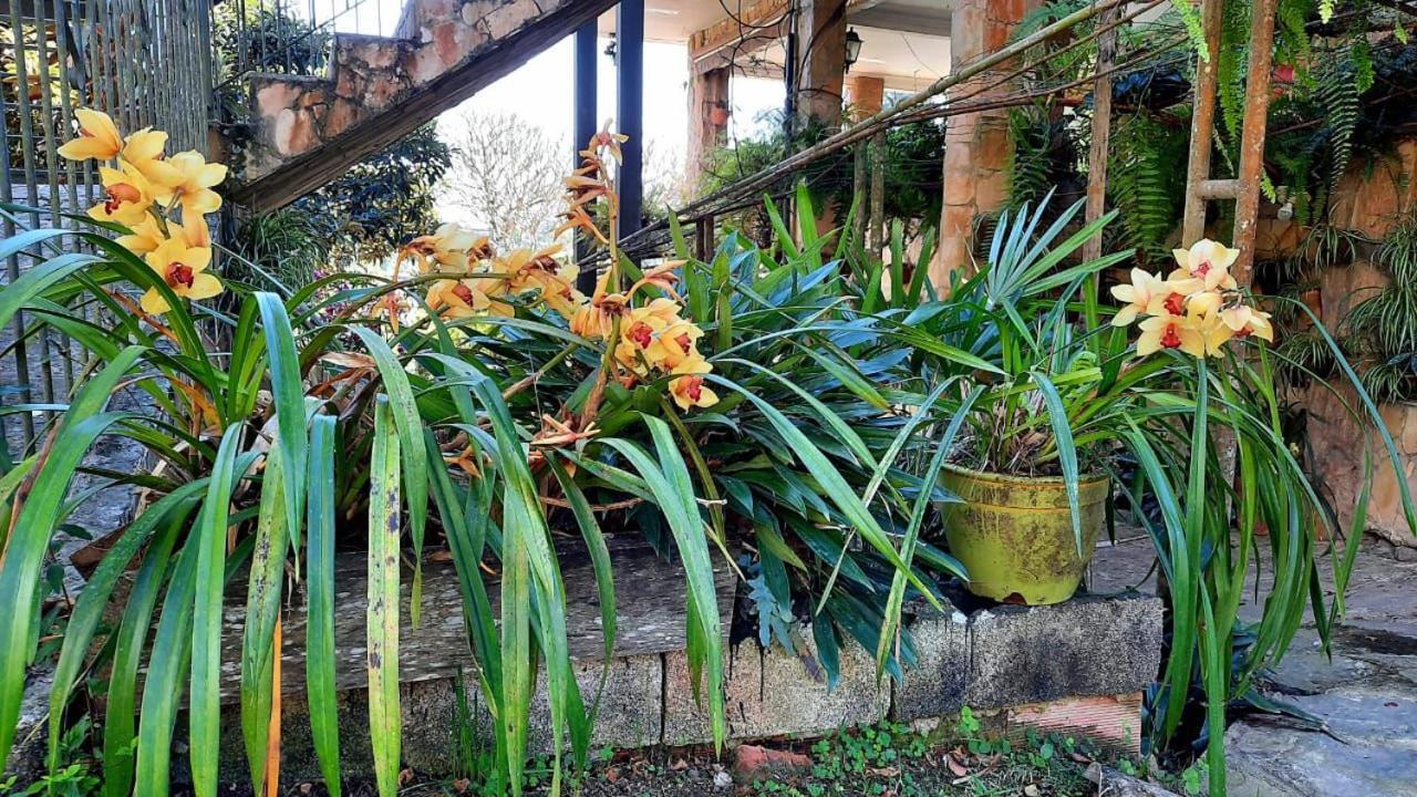 Pousada Canto Das Corujas São Roque Extérieur photo